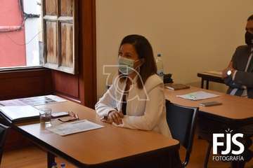 Pleno ordinario de diciembre de 2020/Francisco Javier Santana.